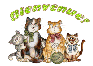 Gif animé bienvenue chats